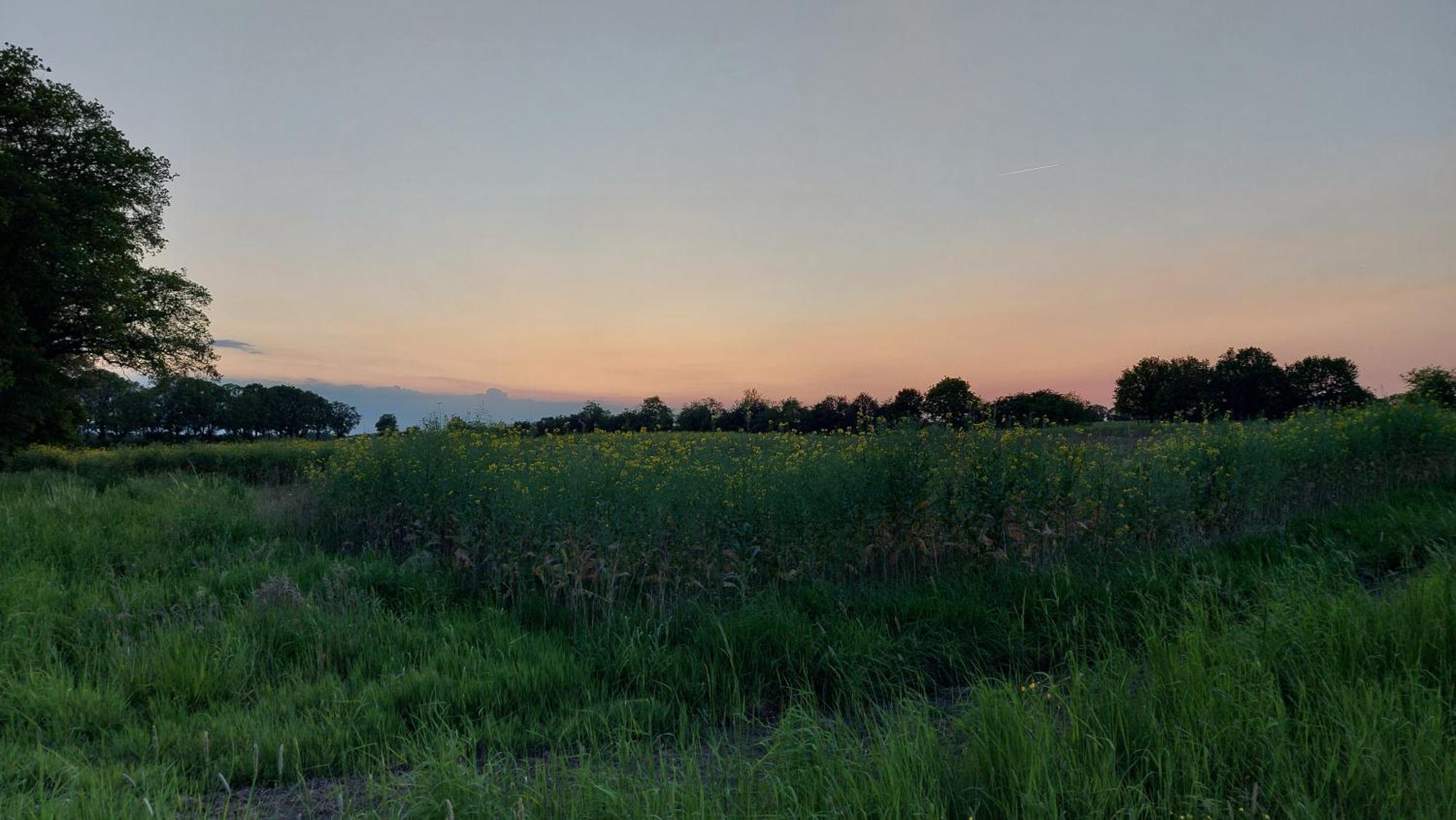Havelterhoeve Bagian luar foto